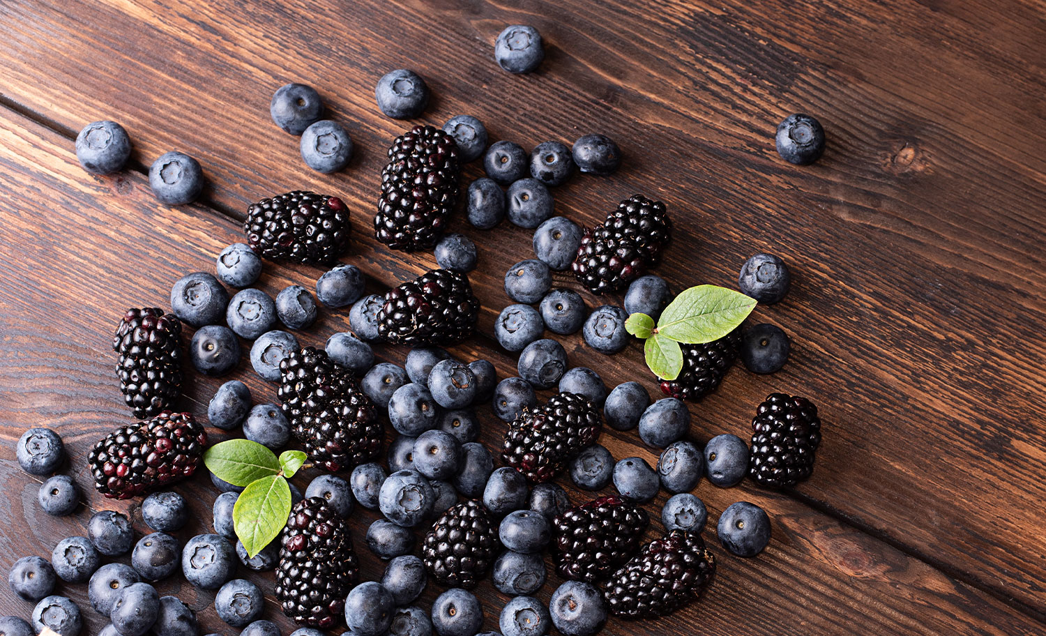 Berry Puree Processing Production Line